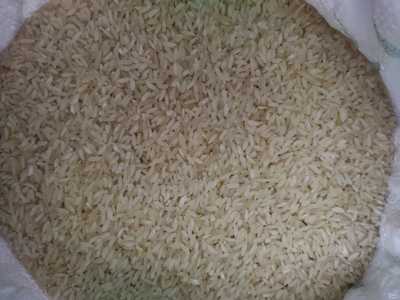 فروش برنج لنجان