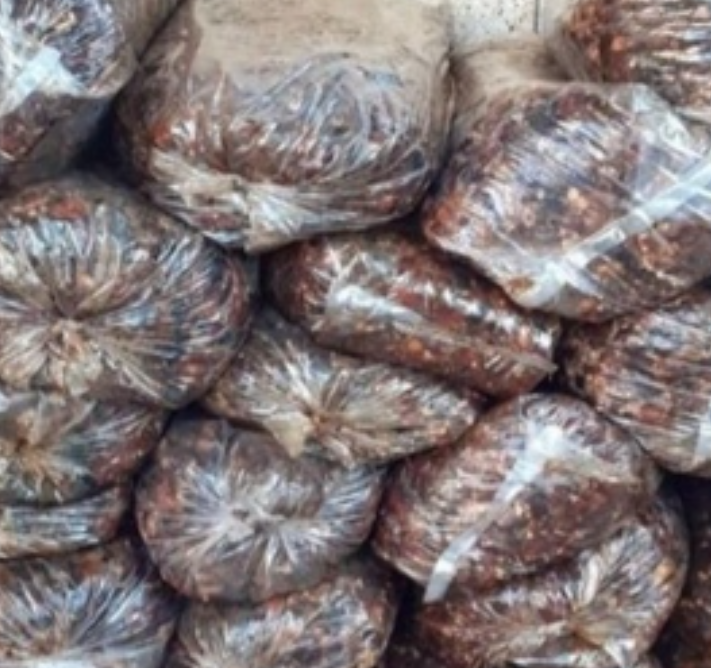 فروش خرما ضایعاتی