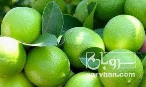 فروش لیموترش