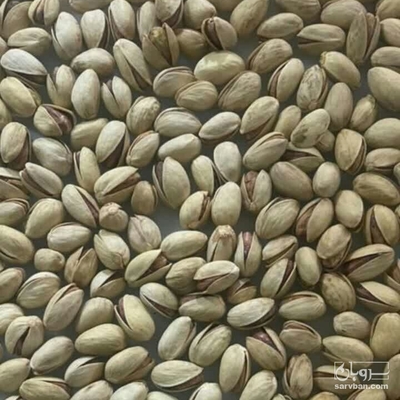 فروش پسته احمد اقایی