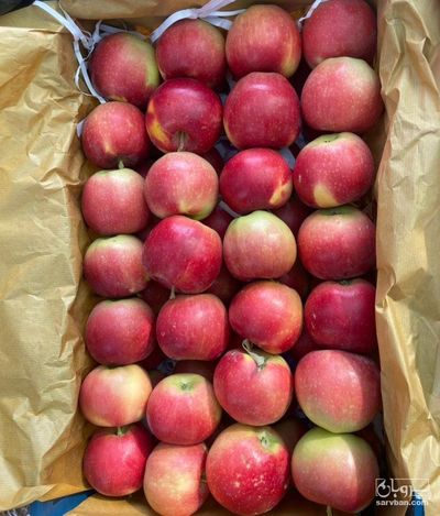 فروش سیب گالا