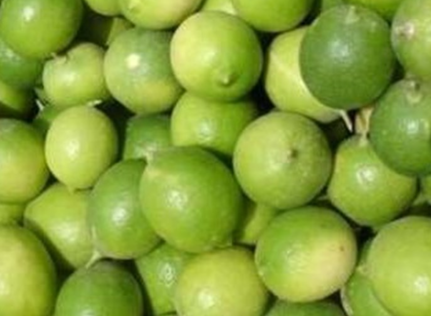 فروش لیموترش