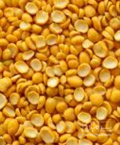 فروش نخود کفتری - لپه