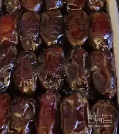 فروش خرما کبکاب