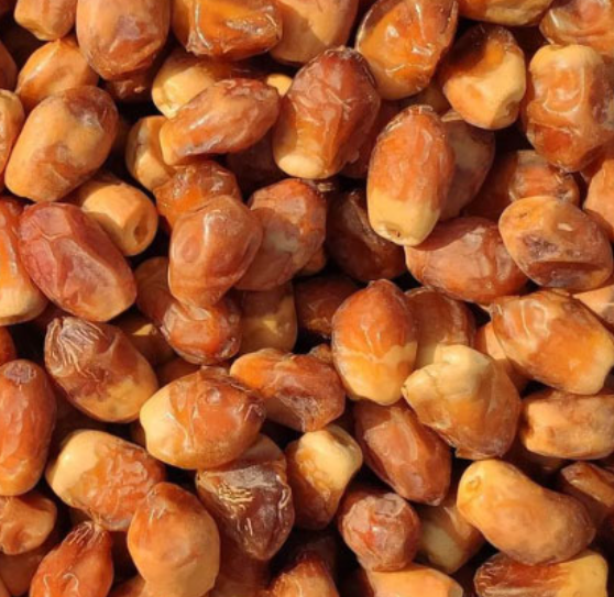 فروش خرما زاهدی