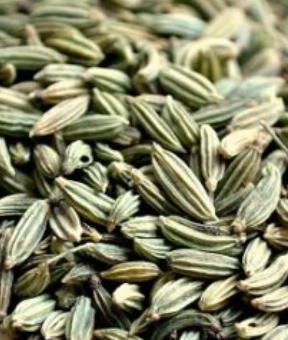 فروش رازیانه