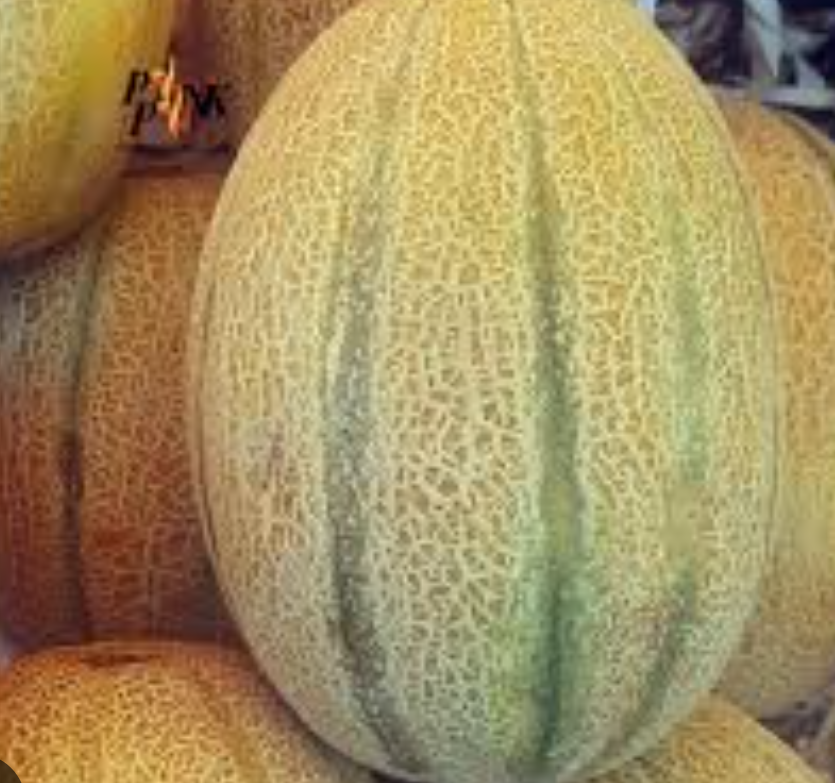 فروش طالبی جانا