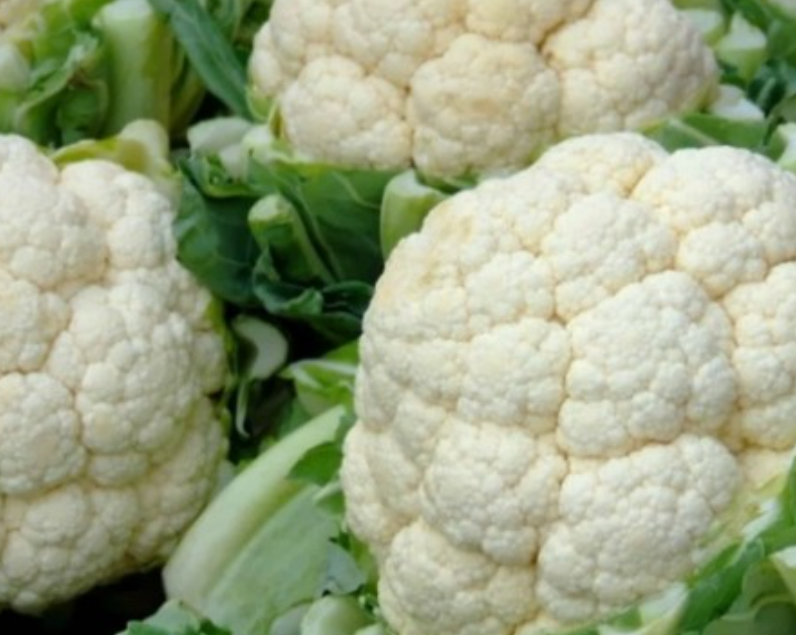 فروش گل کلم