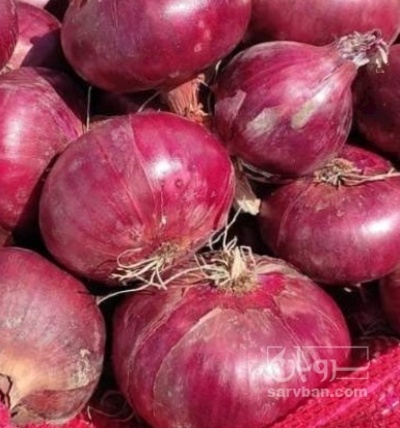 فروش پیاز قرمز