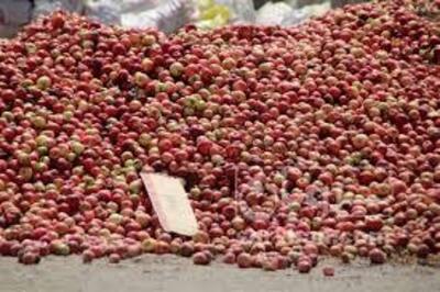 فروش سیب ضایعاتی