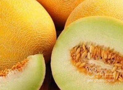 فروش خربزه راک