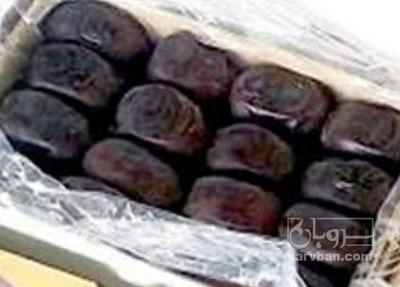فروش خرما مضافتی