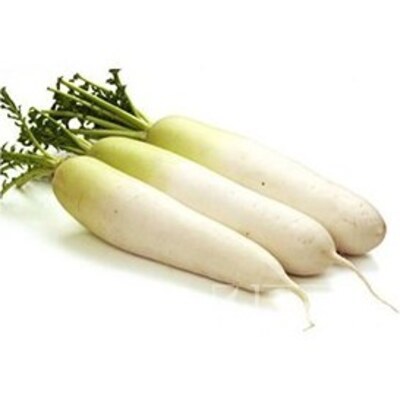 فروش ترب سفید