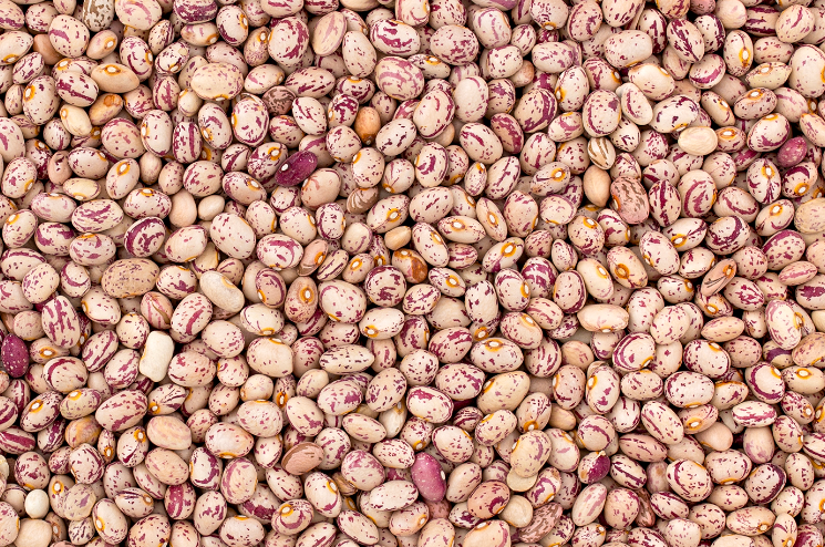 فروش لوبیا چیتی