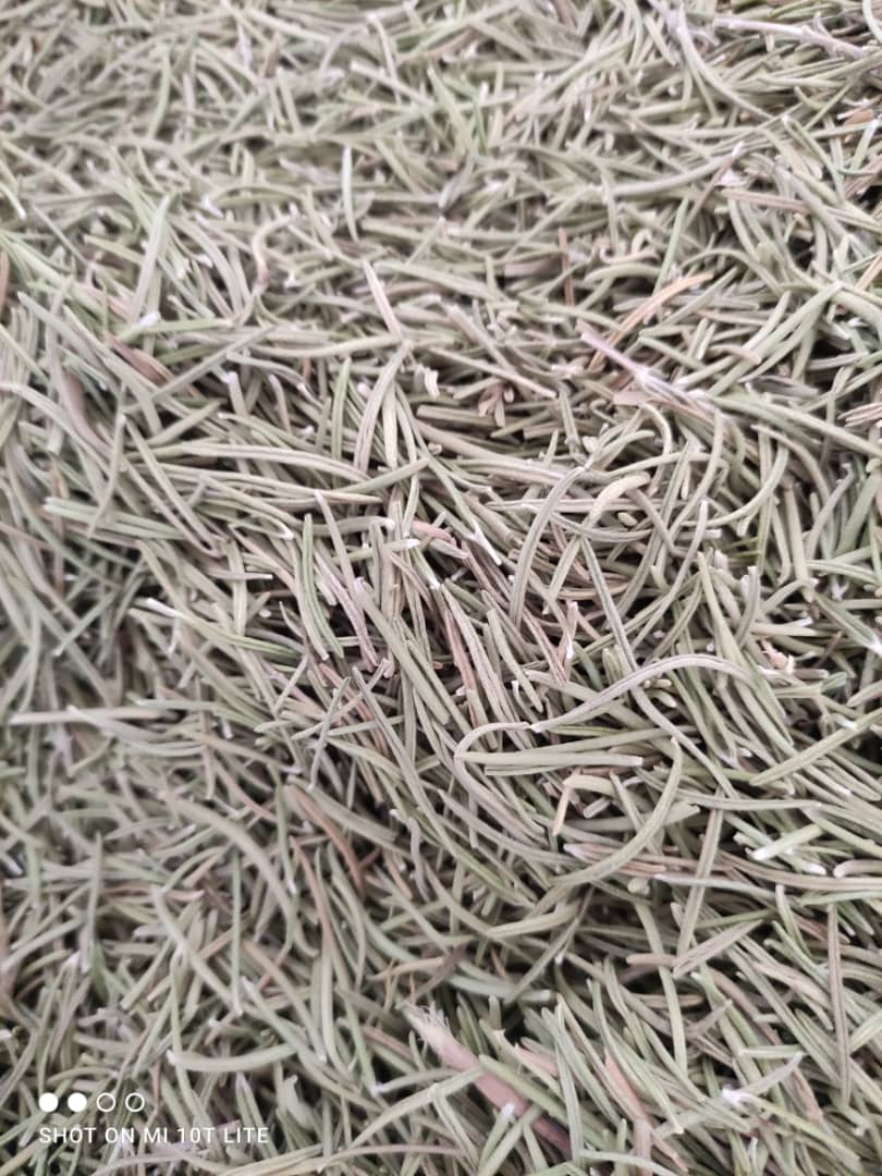 فروش رزماری خشک