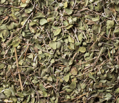 فروش آویشن باغی