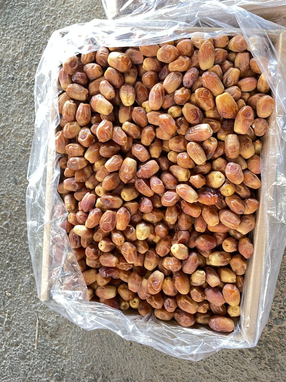 فروش خرما  زاهدی