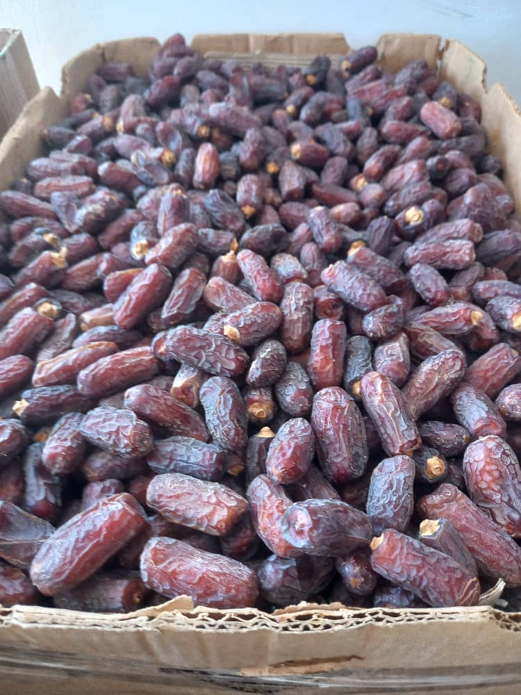 فروش خرما پیارم