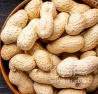 فروش بادام زمینی با قلاف