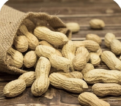 فروش بادام زمینی