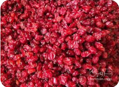 فروش زرشک ( ادویه) (گیاه‌ دارویی)