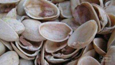 فروش پوست پسته