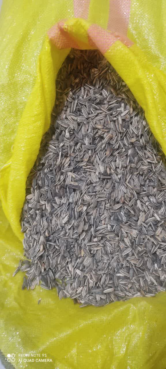 فروش تخمه آفتابگردان