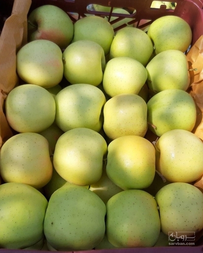 فروش سیب زرد