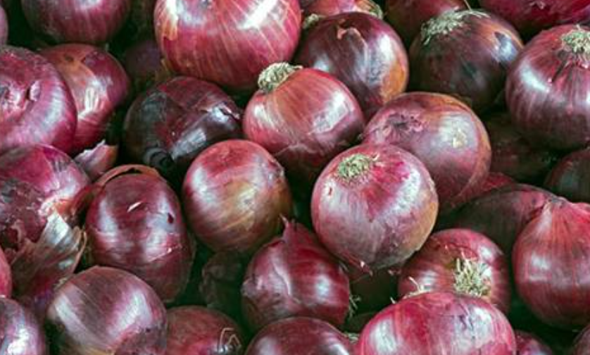 فروش پیاز قرمز