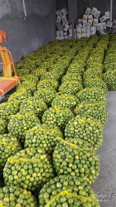 فروش لیموترش