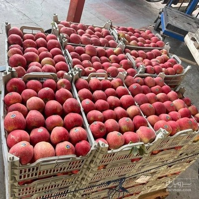 فروش سیب قرمز