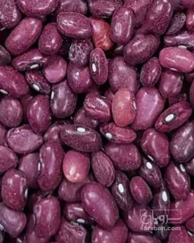 فروش لوبیا قرمز