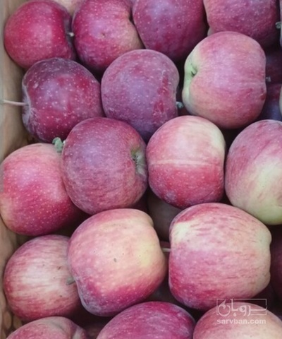 فروش سیب قرمز