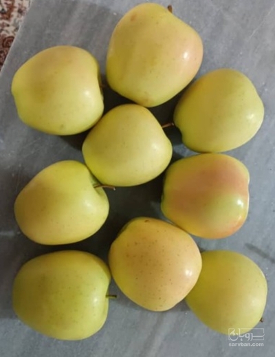 فروش سیب زرد