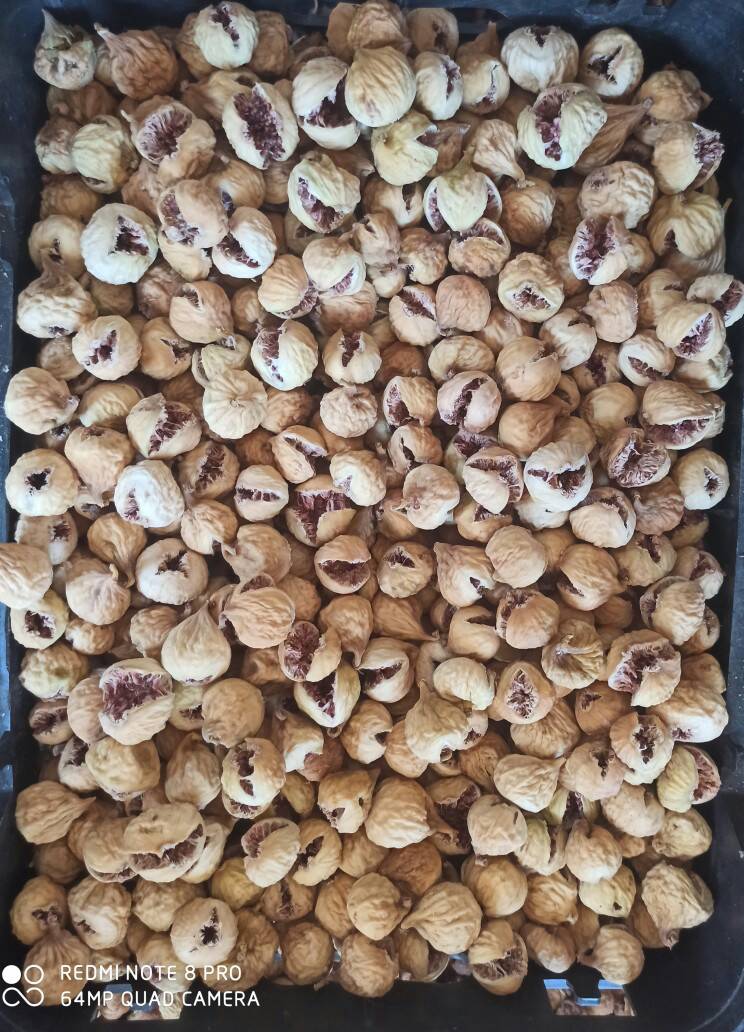 فروش انجیر خشک