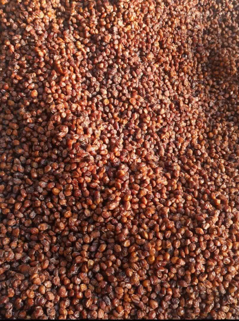 فروش خرماخاصویی