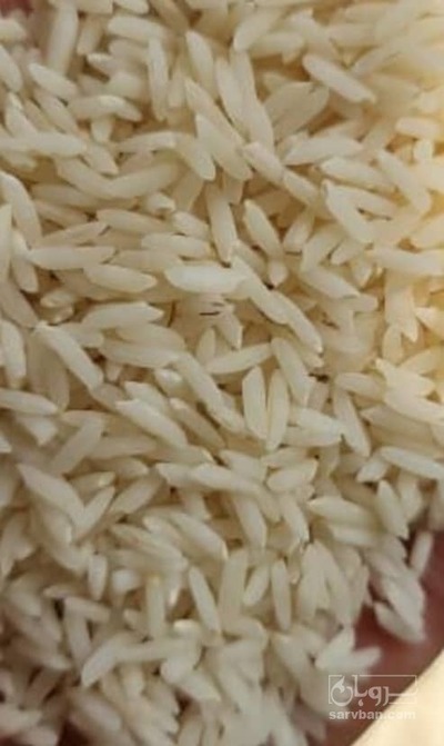 فروش برنج هاشمی
