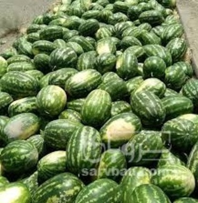 فروش هندوانه