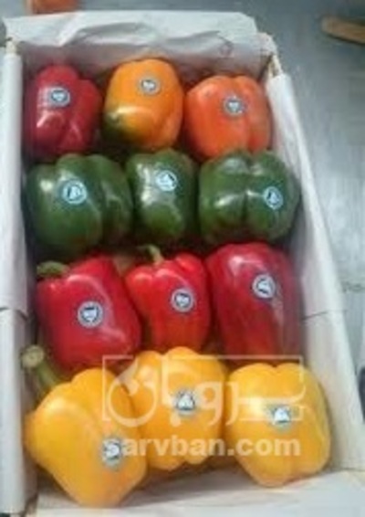فروش فلفل دلمه ای