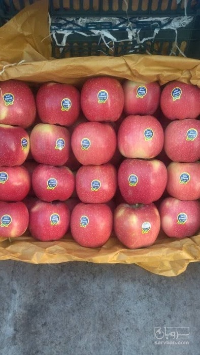 فروش سیب  قرمز