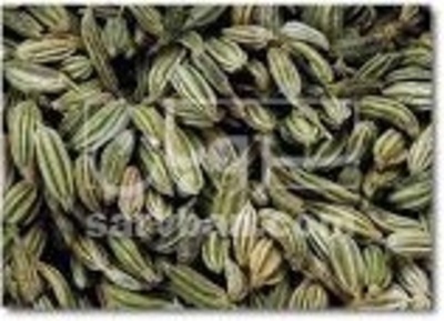 فروش رازیانه