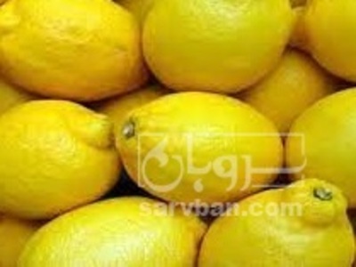 فروش لیمو سنگی