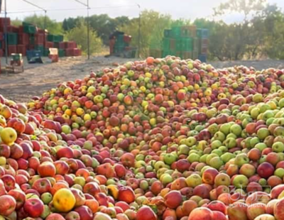 فروش سیب زیر درختی