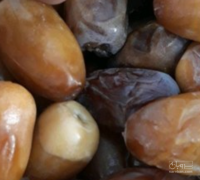 فروش خرما رطب کبکاب