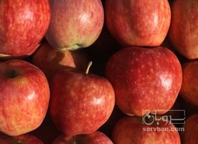 فروش سیب قرمز