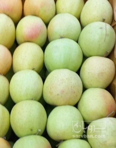فروش سیب زرد
