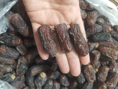 فروش خرما پیارم