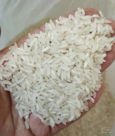 فروش برنج