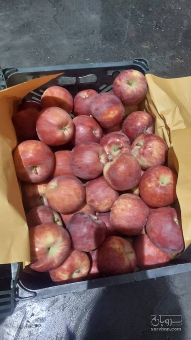 فروش سیب قرمز و سفید