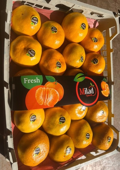 فروش نارنگی